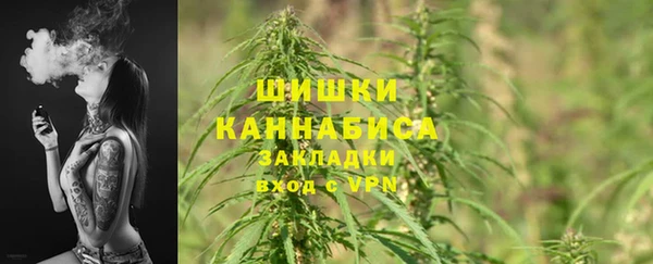 стафф Медногорск