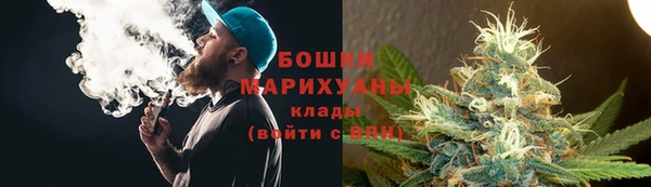 стафф Медногорск