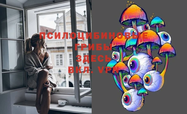 дживик Медвежьегорск