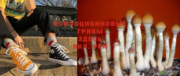 дживик Медвежьегорск