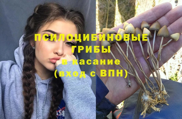 эйфоретик Магадан