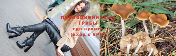 стафф Медногорск