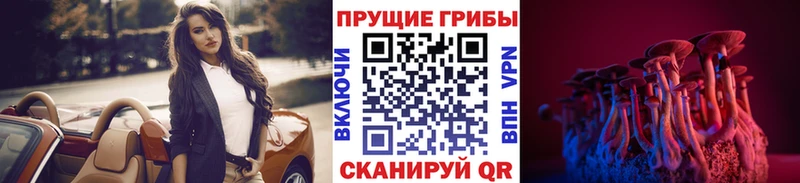 Псилоцибиновые грибы прущие грибы  OMG как зайти  Никольск 